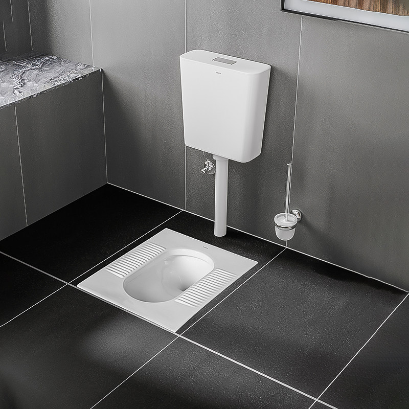 浪鲸卫浴便器水箱整套套装蹲厕防臭蹲坑家用蹲便器