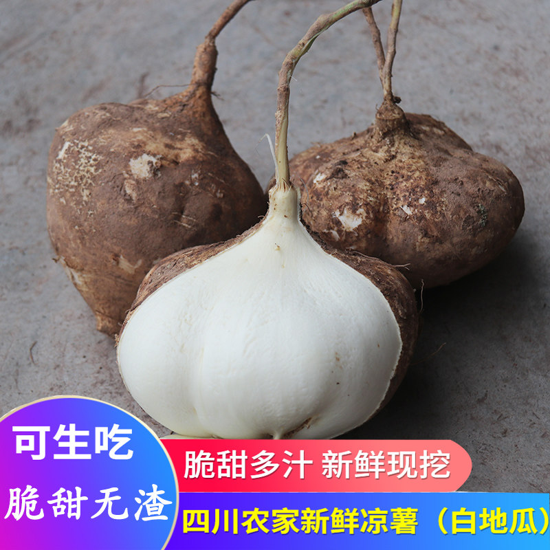 四川自种农家土瓜水果新鲜沙葛脆甜地瓜白地瓜番薯