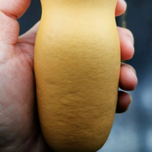 一阁精品天津名家家素奶瓶棒子蝈蝈葫芦鸣虫爬虫