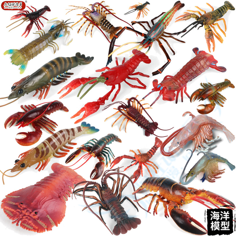 虎虾与枪虾的奇妙世界,一个模型就能满足孩子的好奇心