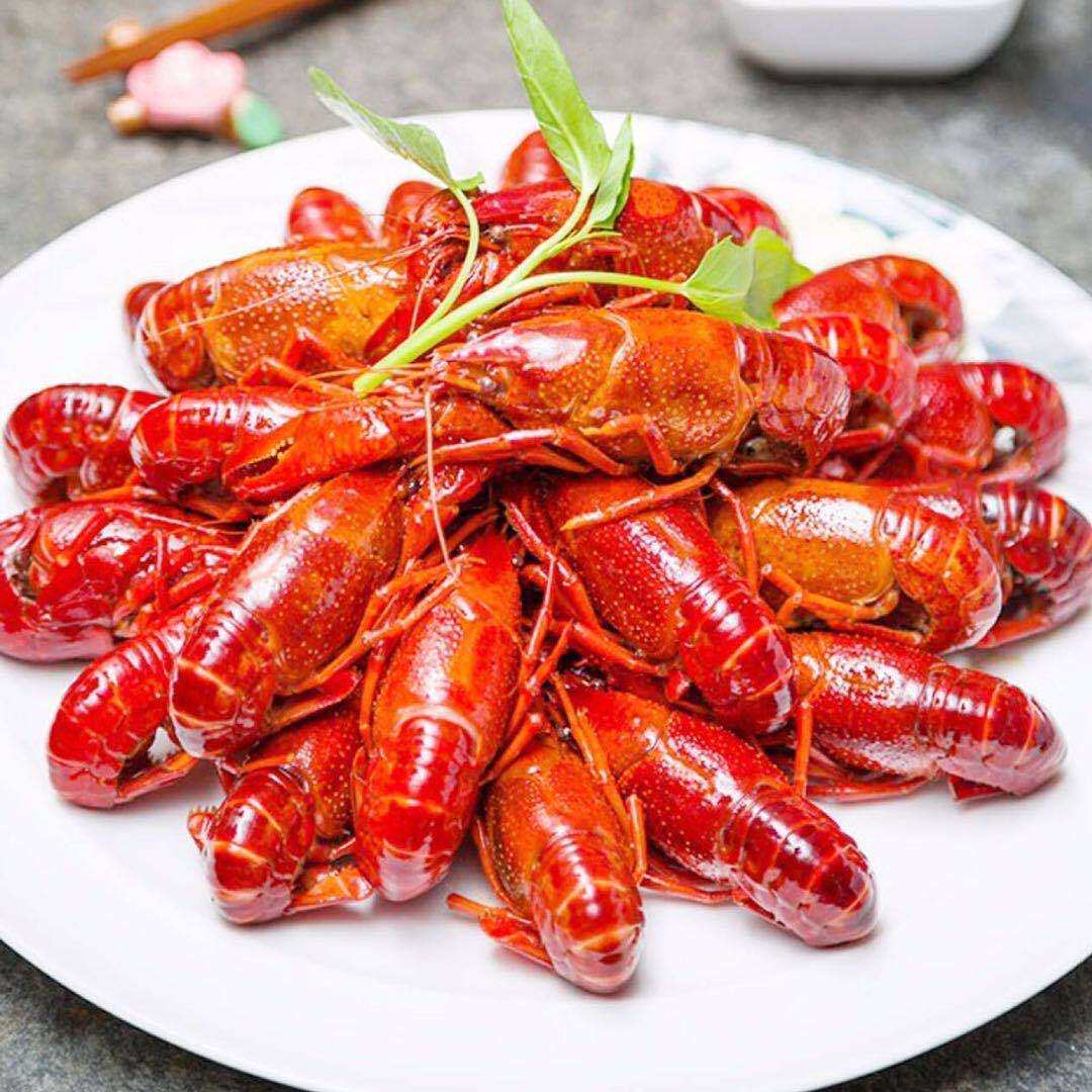 送调料包邮6钱小龙虾清水新鲜活虾顺丰单斤中国大陆北京水产4