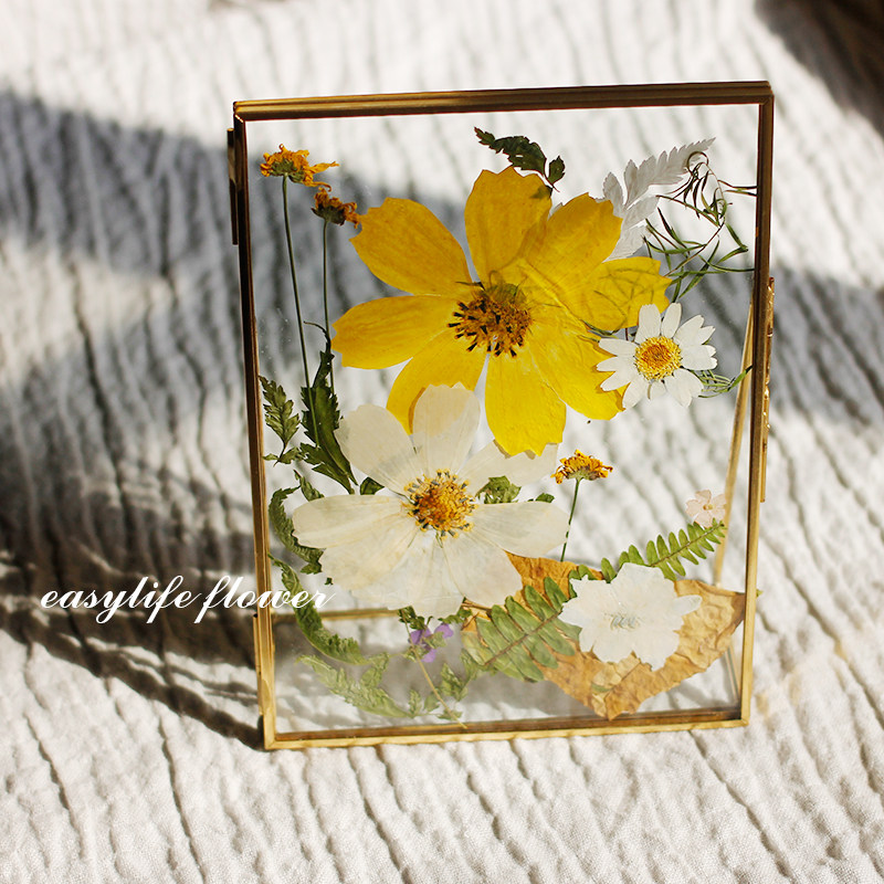 ins压花相框金属玻璃植物标本永生花生日礼物干花