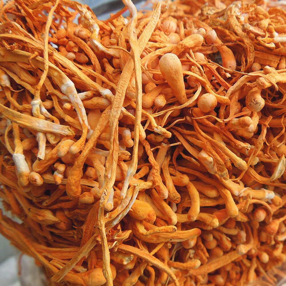 正品孢子虫草特价精选干货云南特产蘑菇100克香菇类