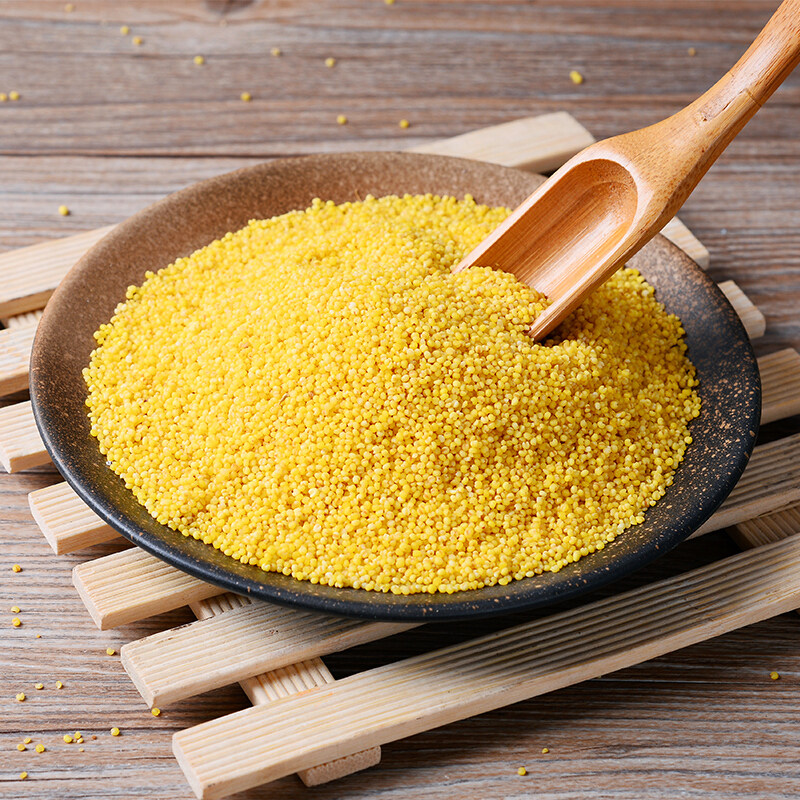 小米黄小米大金金苗5斤内蒙古赤峰2021年新米食物小米