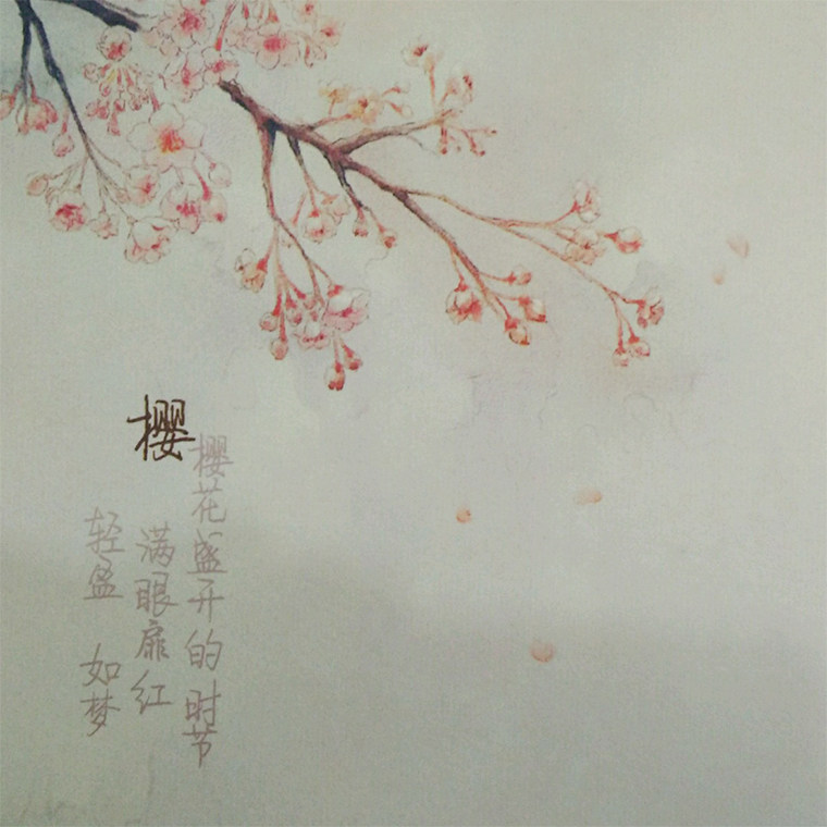 古风信笺樱花花盛世情书信表白邀请函浪漫唯美信纸
