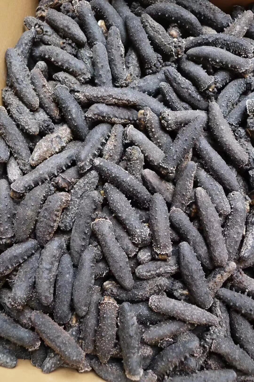 海参关西淡干日本250克进口野生高泡发50只海参