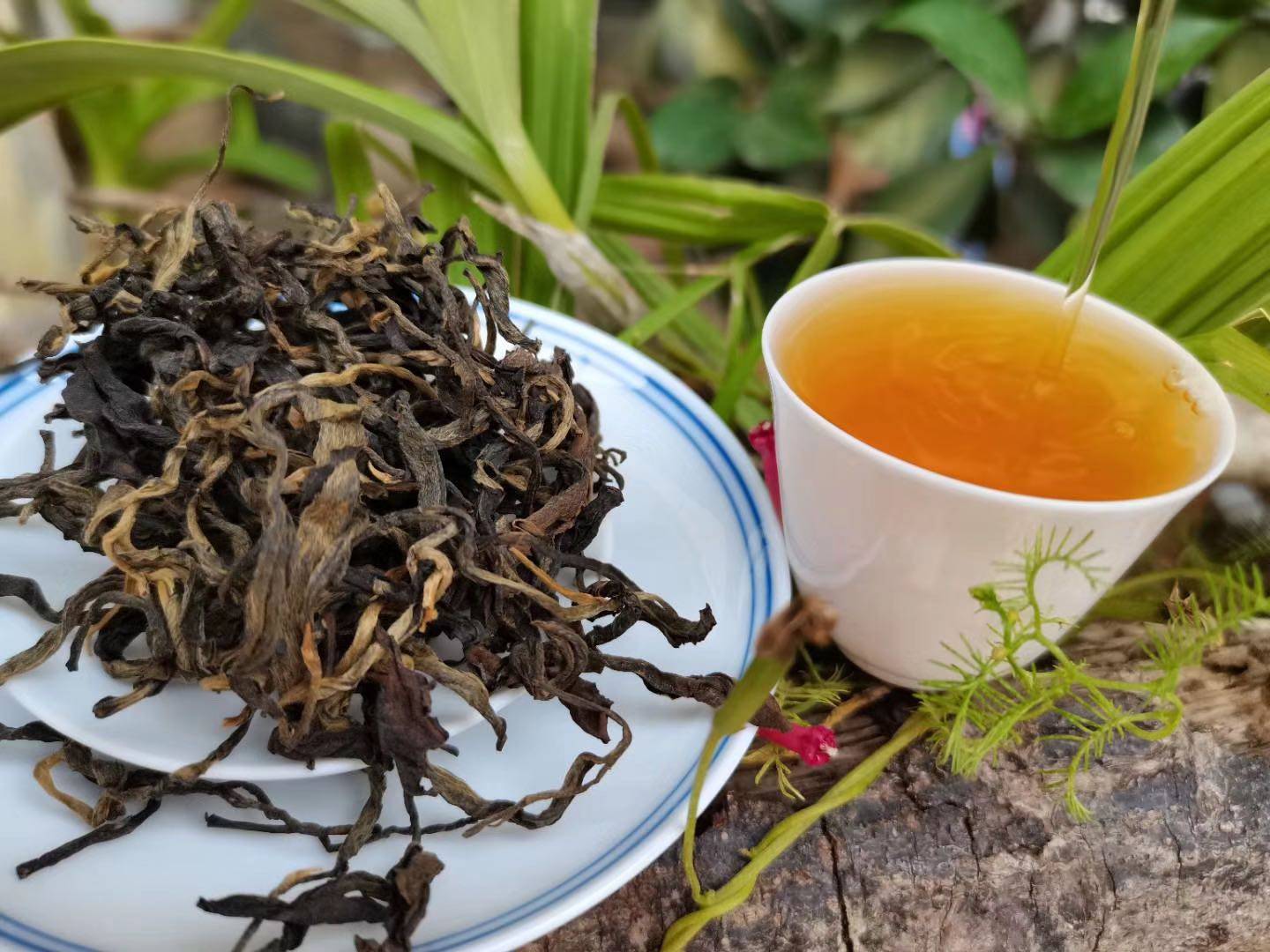 2020年滑竹梁子古树晒红500克红茶茶叶散茶勐海普洱