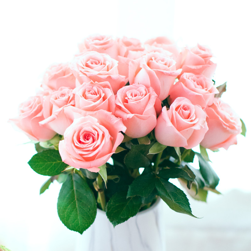 云南鲜花基地地直玫瑰花鲜切花直供包直批一扎鲜花速递同城