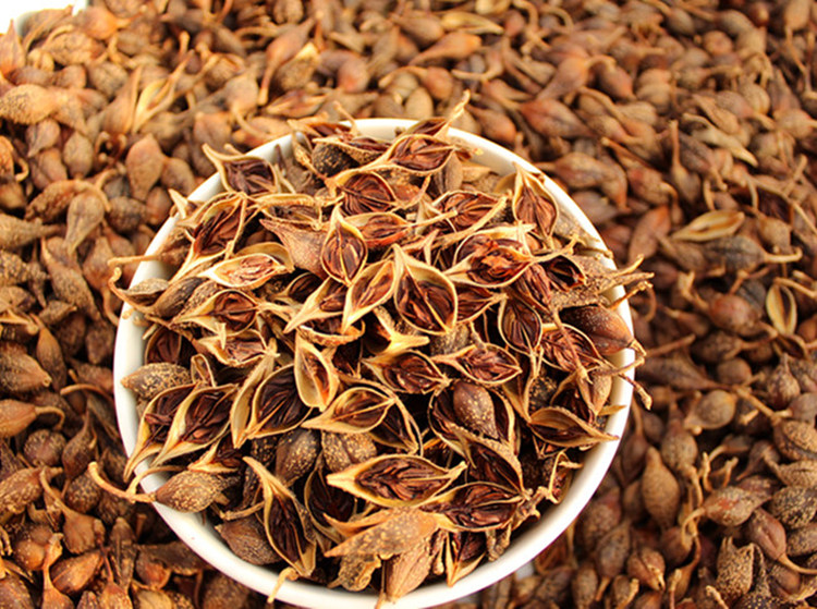 秦岭野生正品中药材精选连翘 连翘茶青翘老翘500g包邮满5kg优惠