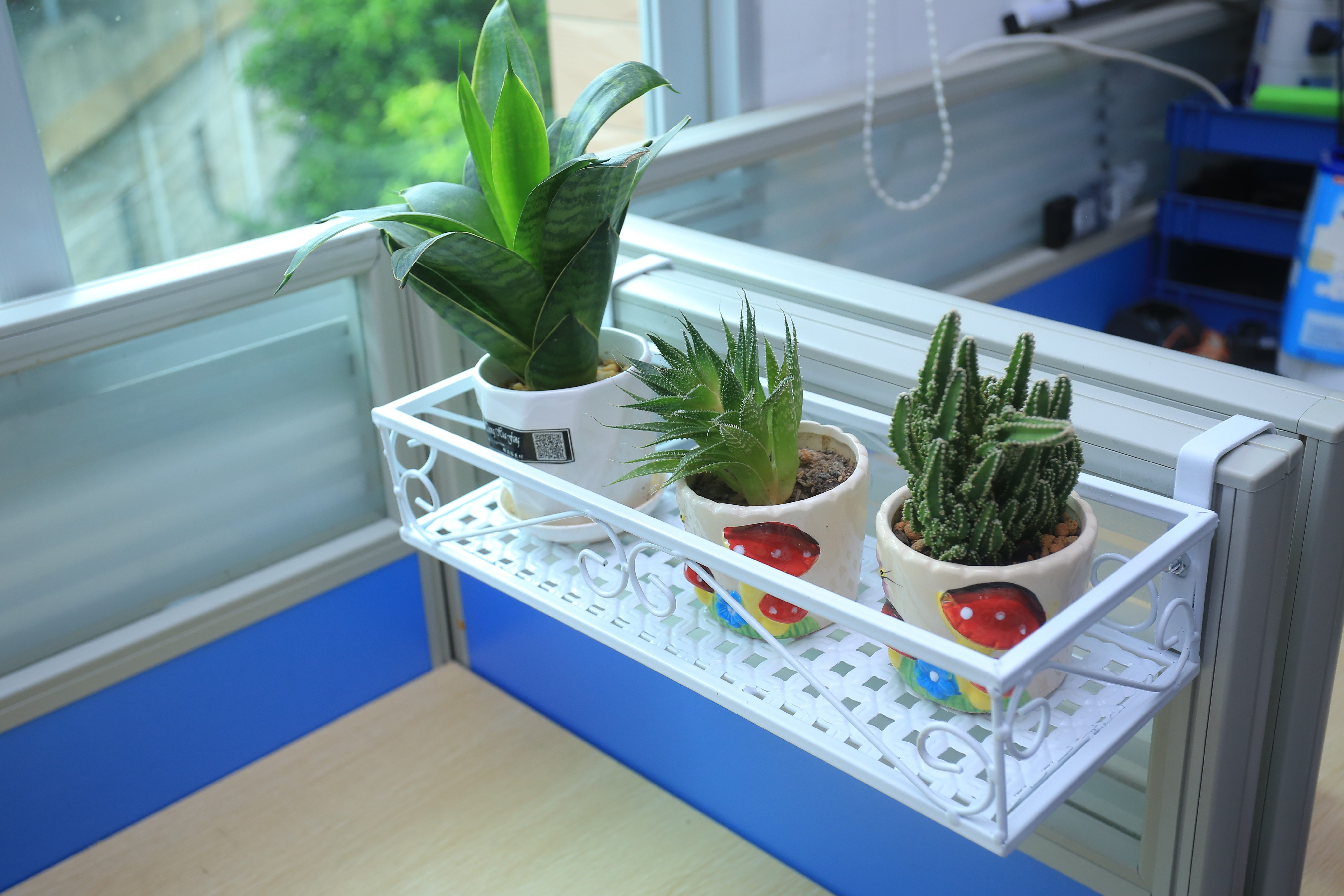 办公室多功能铁艺置物架窗台收纳盆栽办公办公桌桌面花架