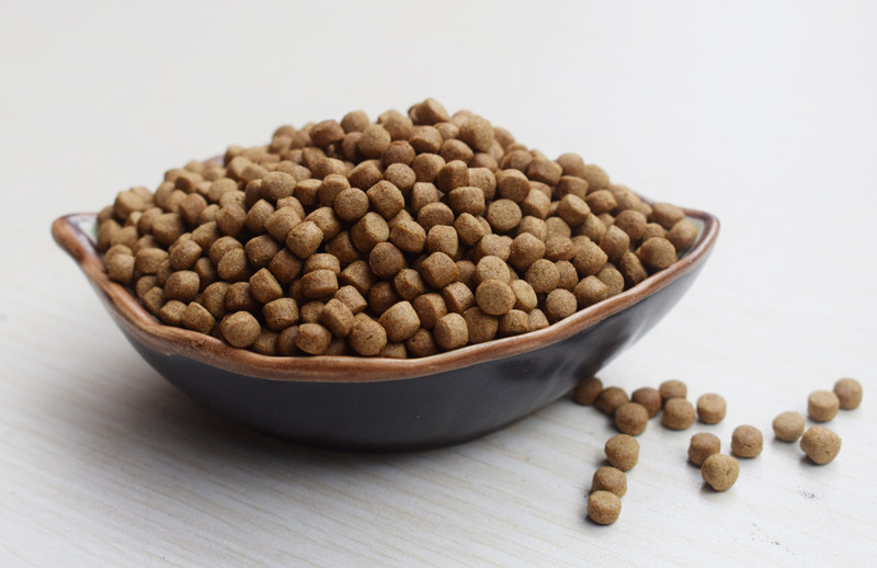 营养龟粮石金钱小颗粒巴西龟饲料鳄龟食幼龟粮中华草龟料乌龟食品