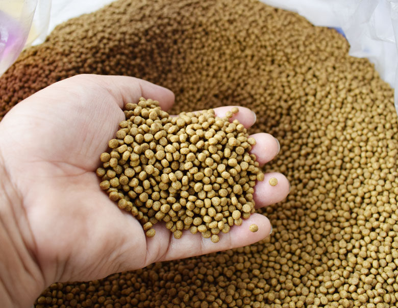 饲料健马龟粮鳄龟石金钱龟幼小小乌龟粮草巴西龟料观赏龟