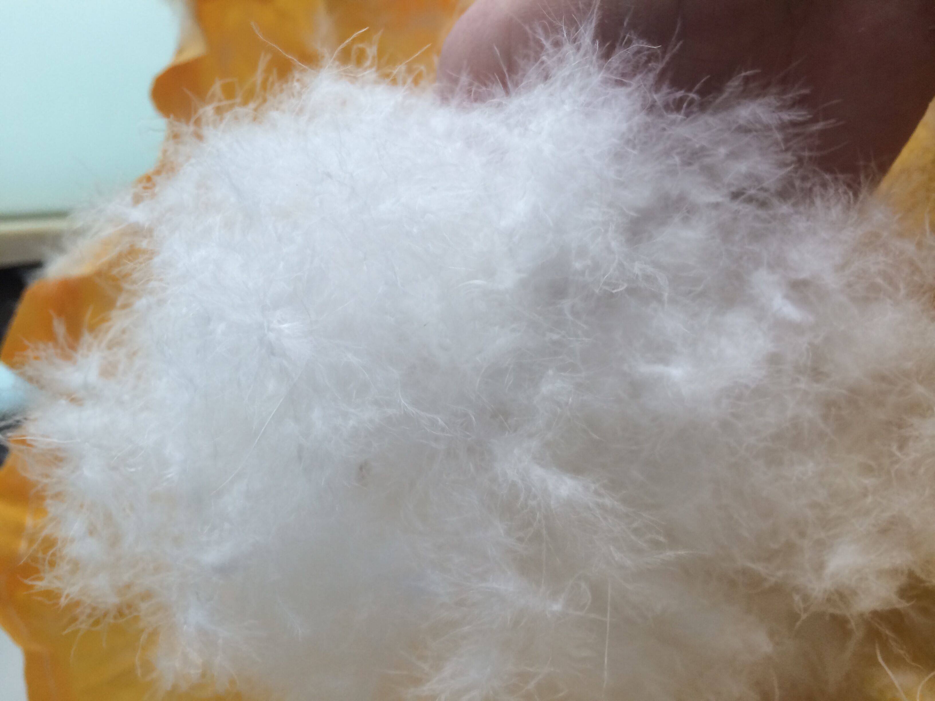 羽绒原料鹅吊绒白鹅绒散装羽绒大朵鸭绒包邮羽绒服睡袋羽绒填充物