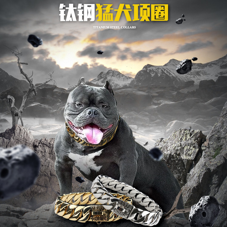 热卖恶霸猛犬金色霸气项圈不锈钢脖圈脖套项链项圈