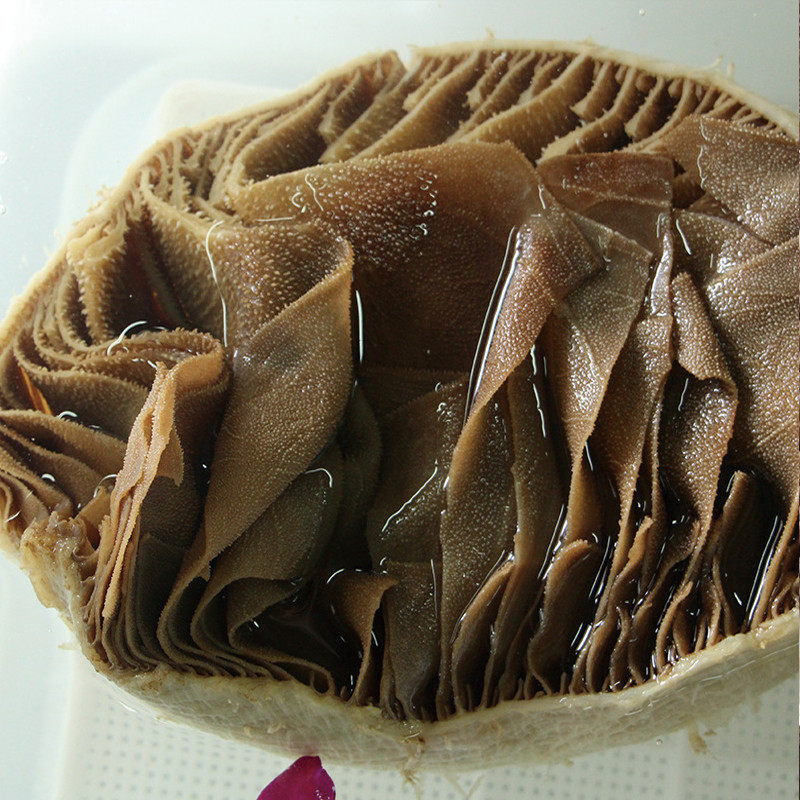 毛肚百叶新鲜2500g装牛牛毛火锅牛肚底板叶片牛杂类