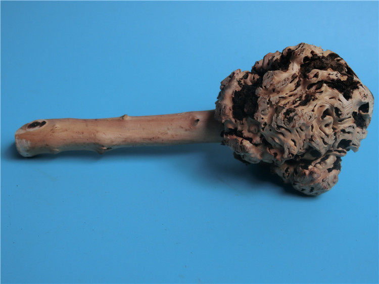 天然树瘤根雕刻料樱木影陈化瘤象形木料摆件手把根雕