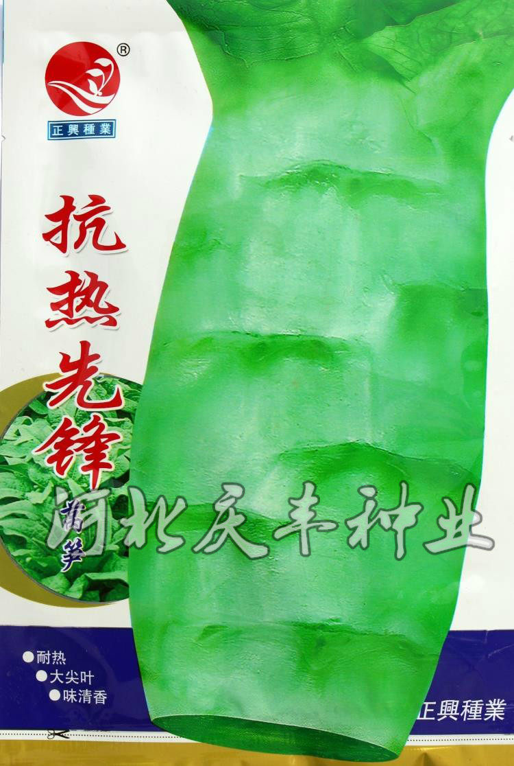莴笋种子莴苣四季播种绿皮圆叶耐热尖叶耐寒家庭园艺种子