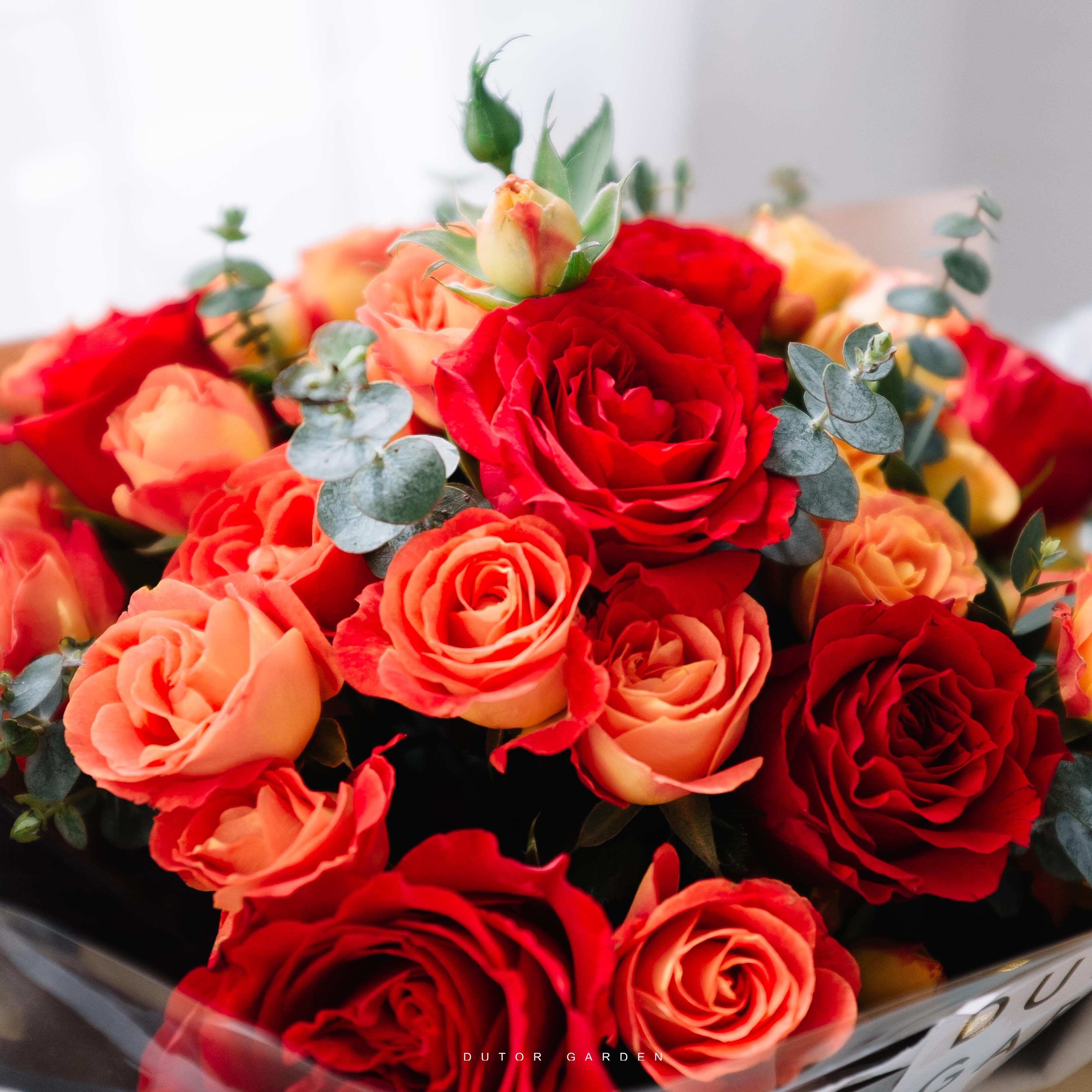 鲜花西安油画画风复古玫瑰玫瑰花花束母亲节定制鲜花速递同城