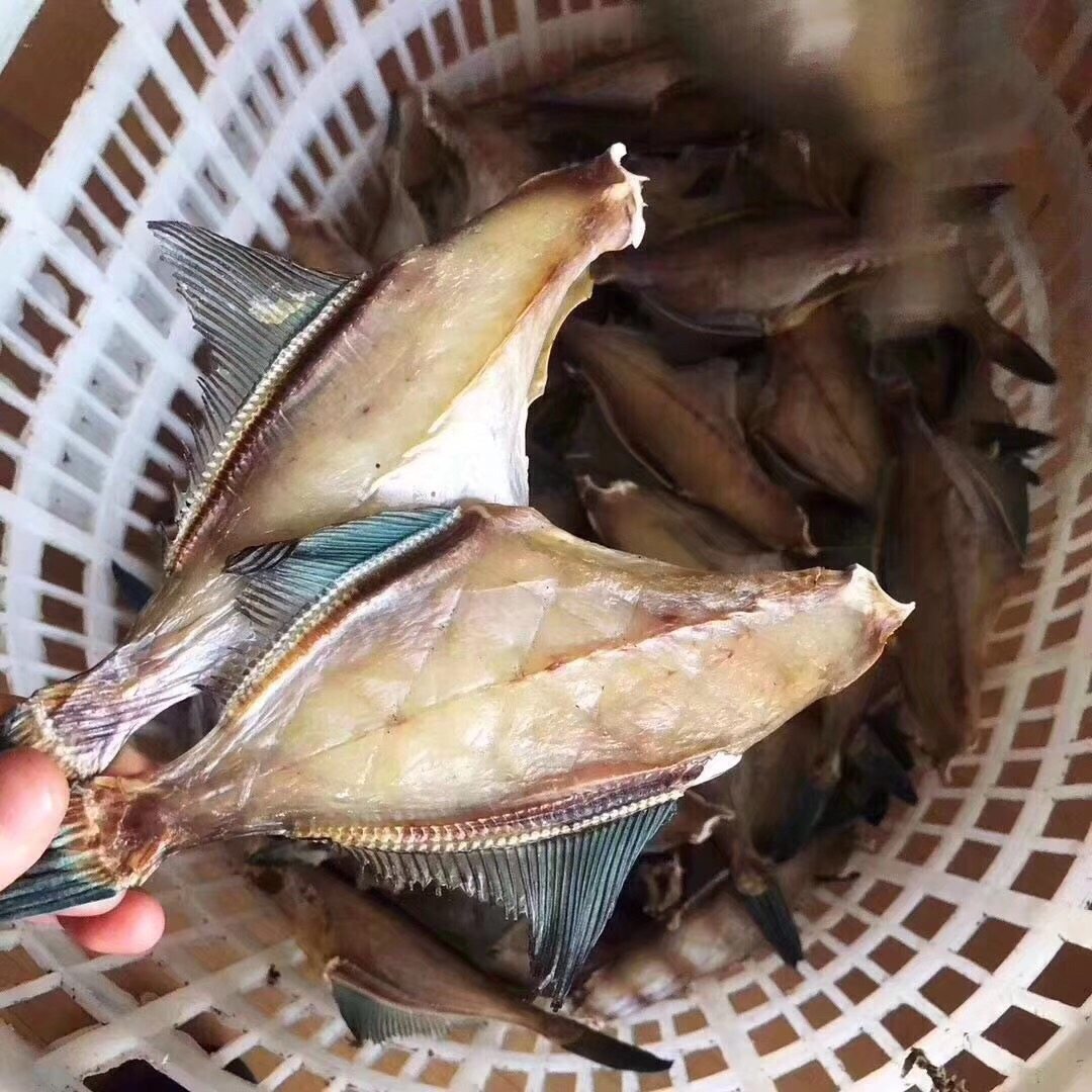 舟山东海渔民自晒剥皮鱼鲞橡皮鱼特产海鲜干货鱼干