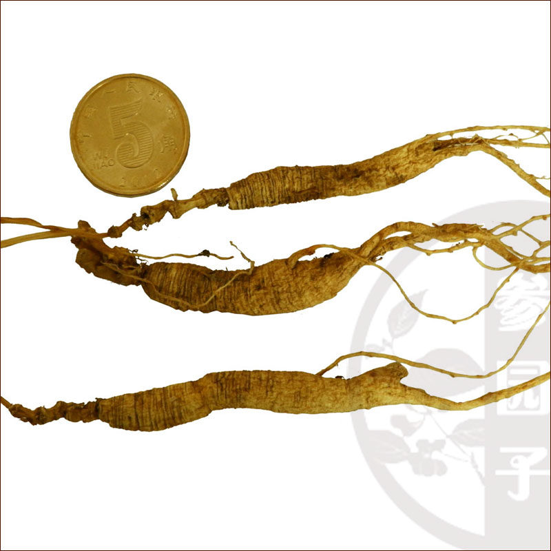 园子东北特产干山干品小参带叶野山林下人参山参