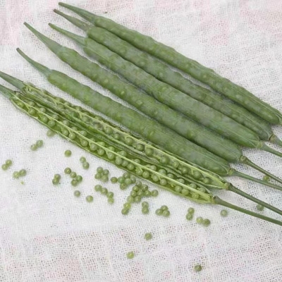 淘宝优惠券_天猫优惠卷_京东优惠券_拼多多优惠券_小二券