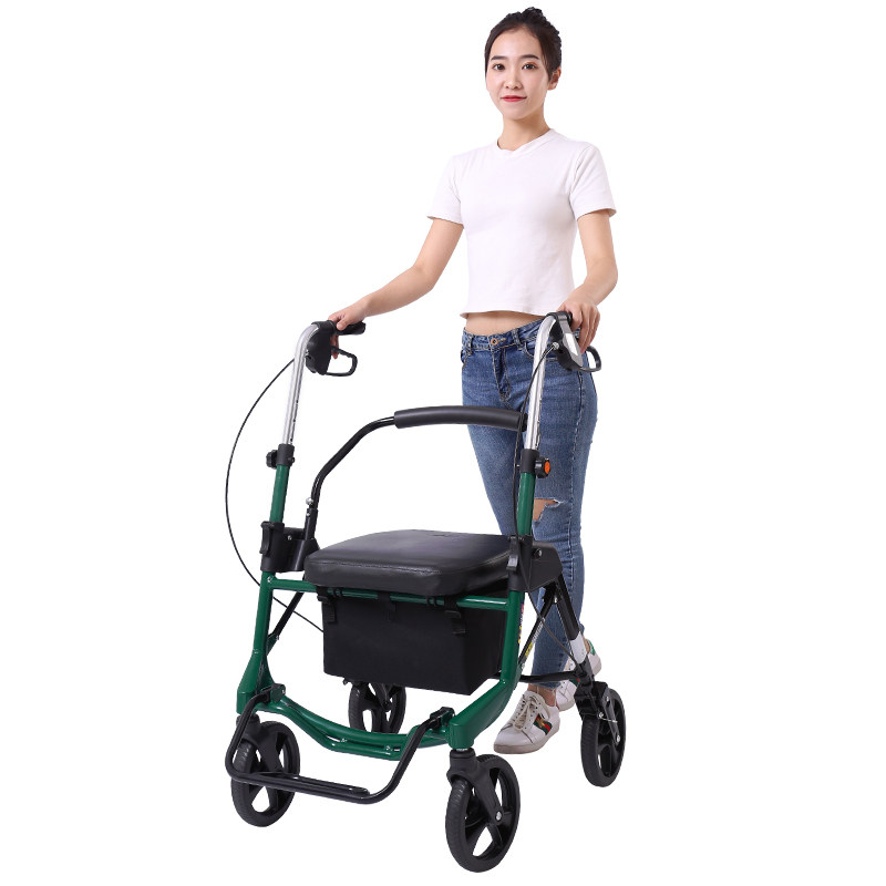 埃立娇老年购物车老人手推买菜车助行代步折叠拐杖便携购物车