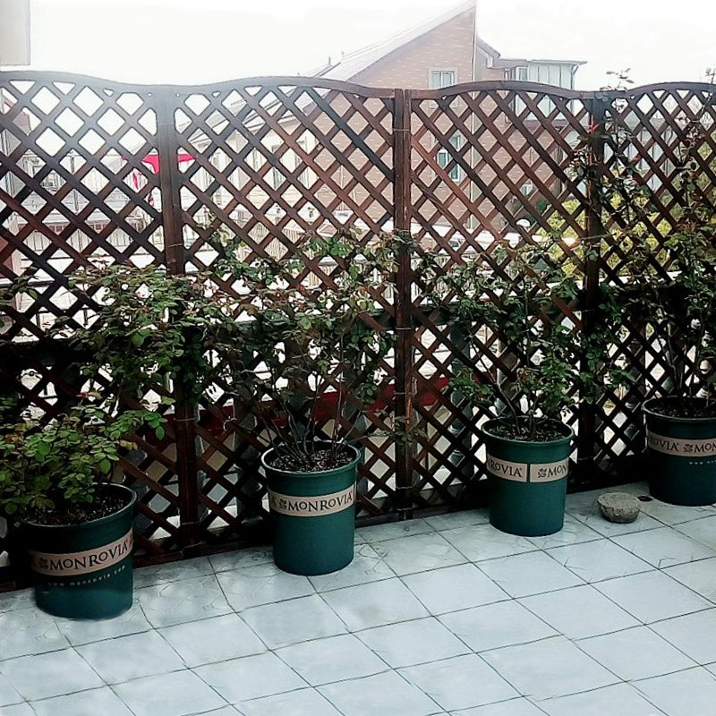 爬藤藤架花架防腐木栅栅栏网格户外实木围栏大型篱笆