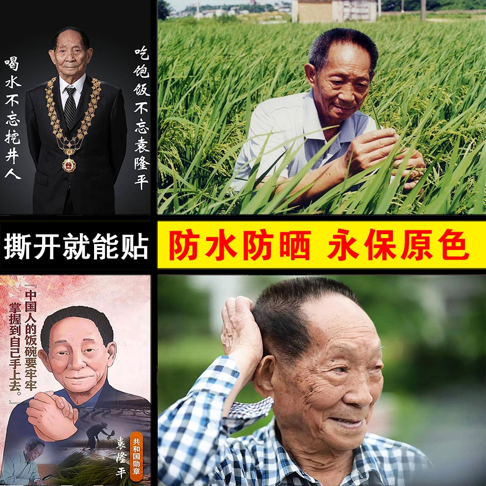 袁隆平海报杂交水稻之父袁老贴纸科学家名人伟人现代装饰画