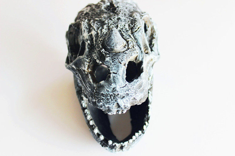 包邮nomo蜥蜴头骨躲避爬行动物造景另类宠物爬虫