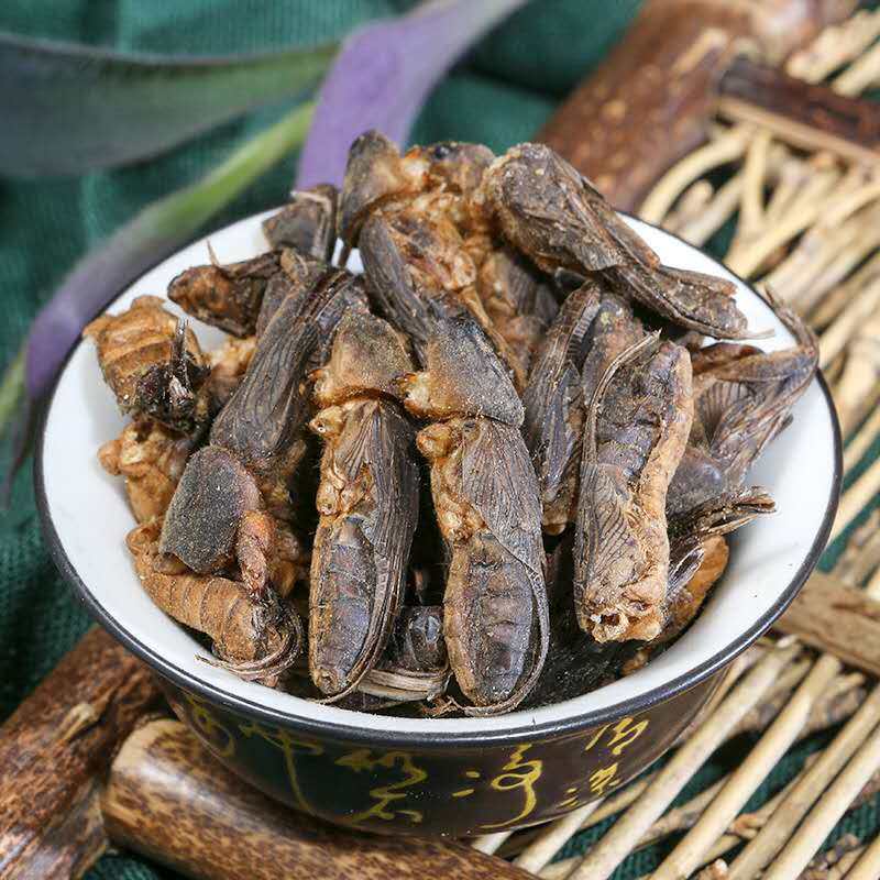 中药材蝼蛄500g另售土狗蝗虫蛐蛐其他药食同源食品