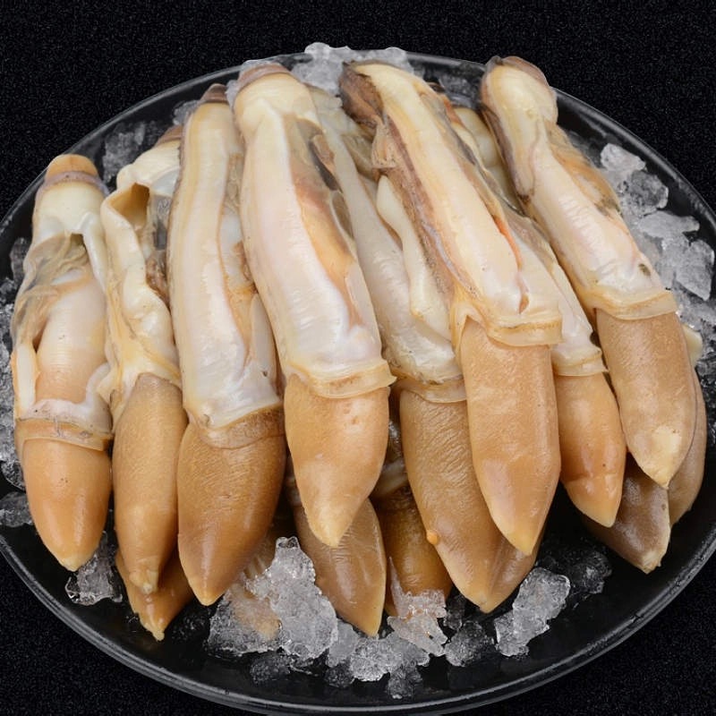 蛏王特大号净重4斤直降20元去沙去壳带黄带膏蛏子