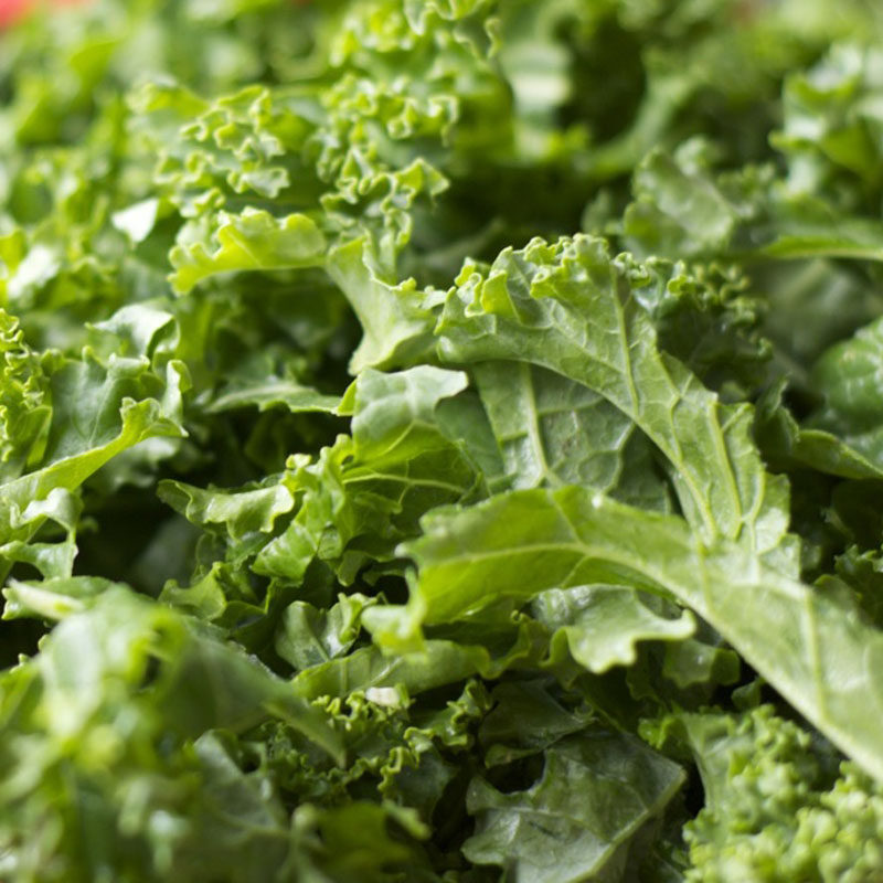 新鲜羽衣甘蓝500g叶杜丹kale轻食蔬菜江浙沪3斤包邮其它