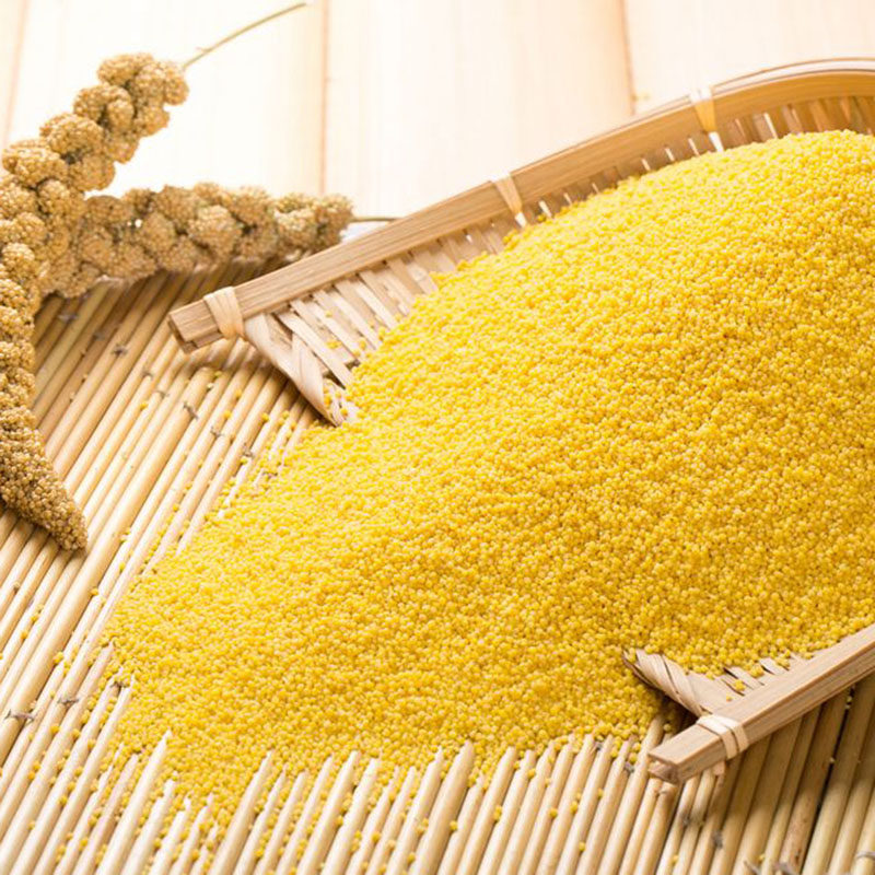 瑞俪汾阳特产汾州小黄米新新货山西太原特级小米