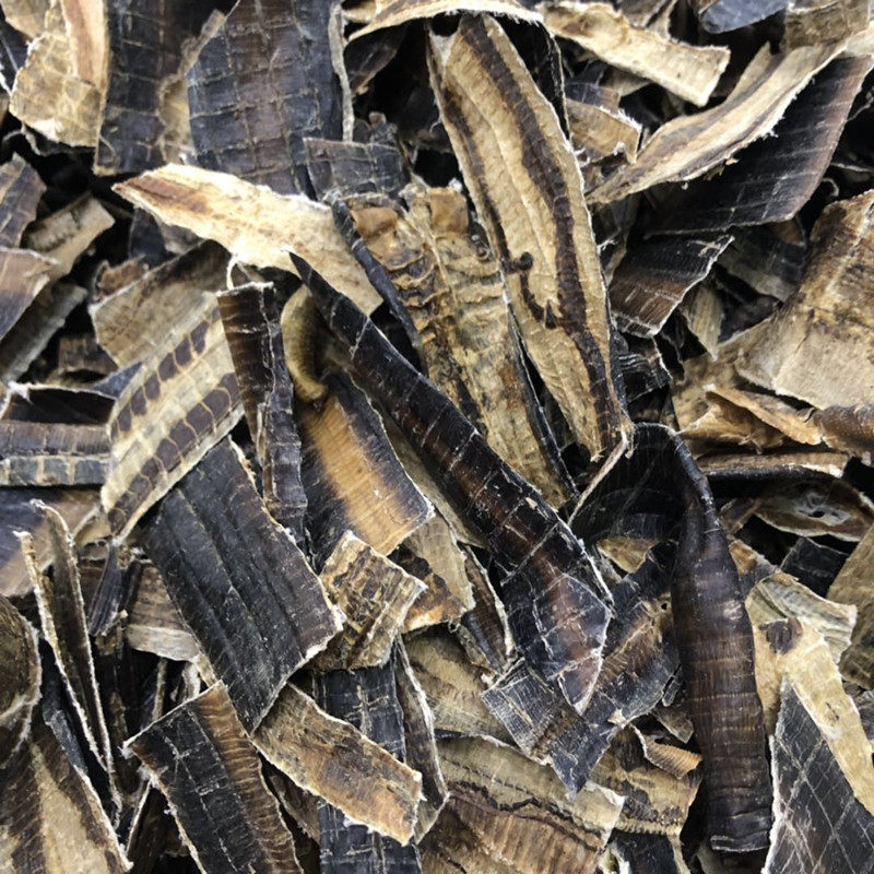 地龙蚯蚓广西免费克包250g无土全开皮广干货其他药食同源食品