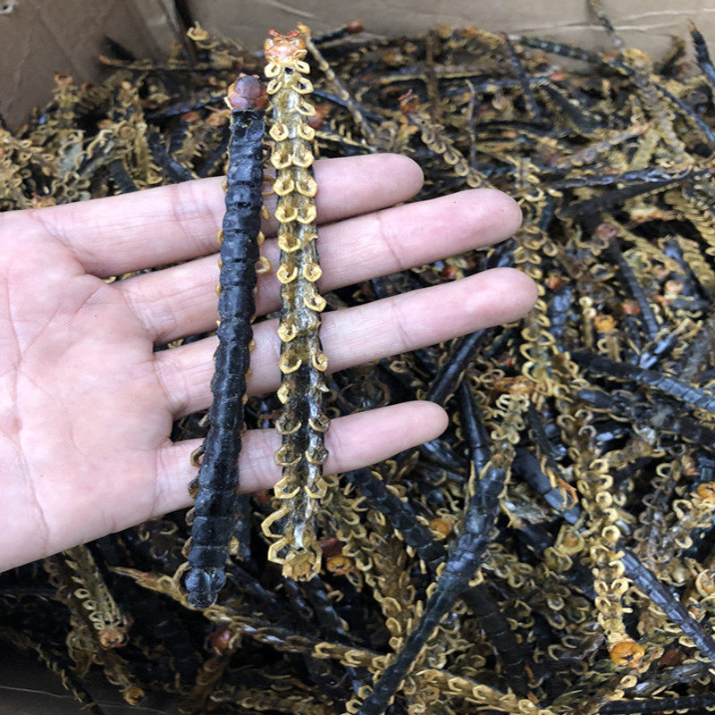 湖北蜈蚣干 10克包邮 不带竹签 蜈蚣粉 干货中药材 另有全蝎 水蛭