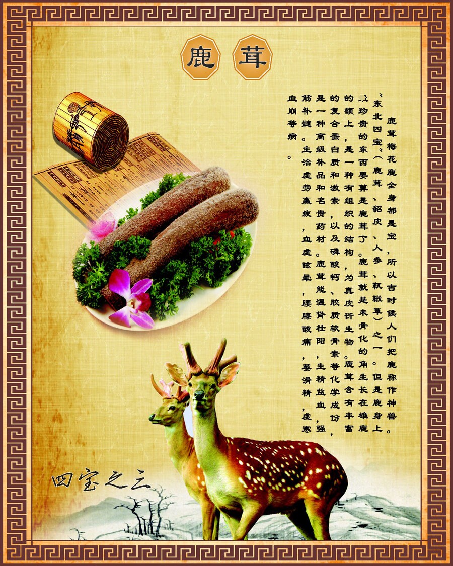 年画海报展板喷绘贴纸素材东北四宝简介介绍年画