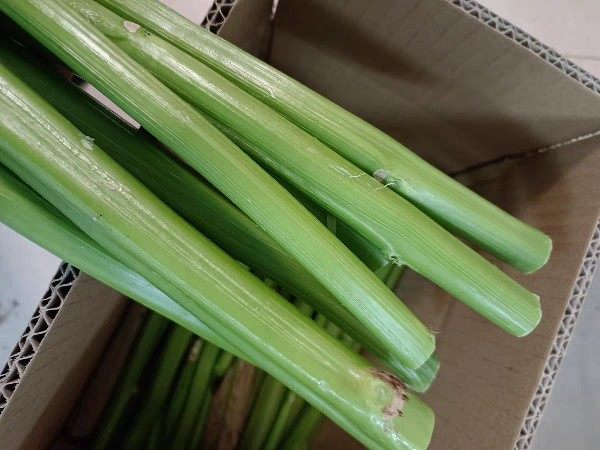 苋菜茎刺苋梗食用新鲜菜梗汗菜臭菜臭豆腐原料叶菜类