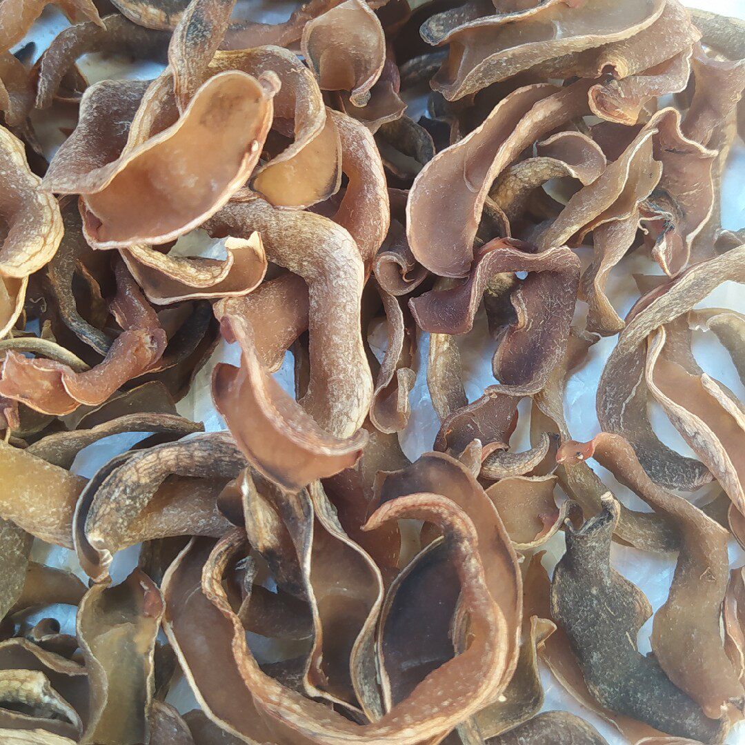 豆干广西猫耳龙爪晒干狗仔豆狗爪豆250克狗儿新鲜豆类