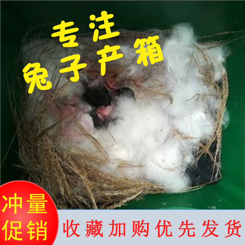 母兔产仔塑料兔兔专用保育加热板兔仔窝用具其他