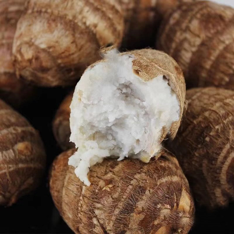 新鲜芋头江西现挖软滑小芋毛芋仔白芽芋农家蔬菜芋头