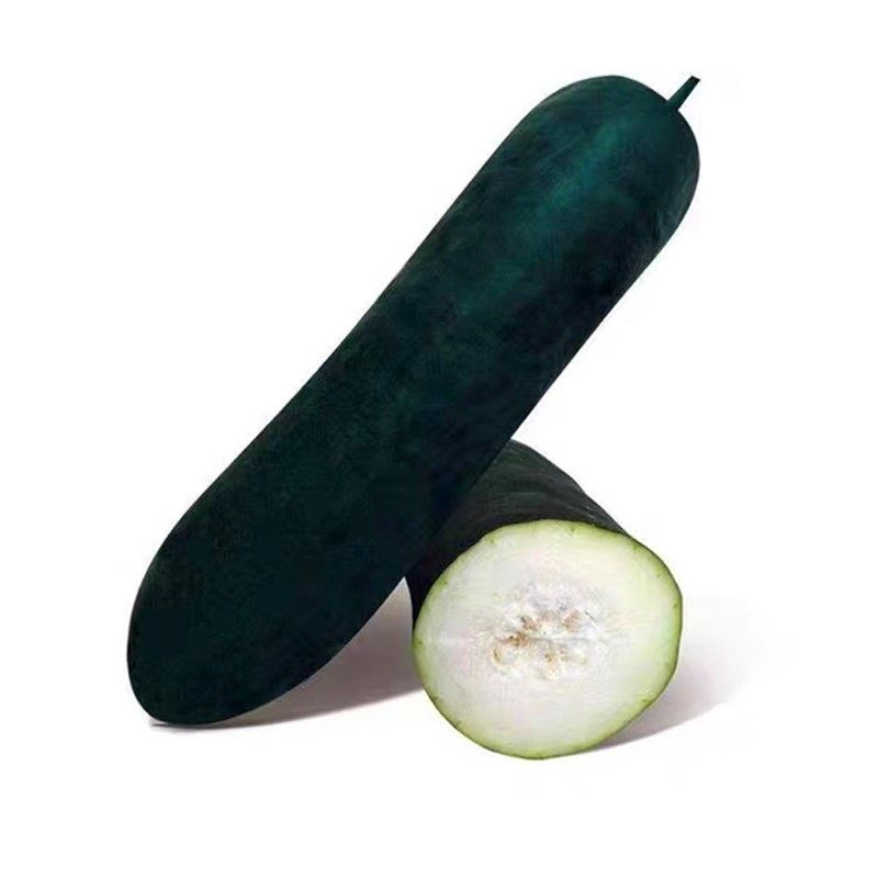 包邮庭院蔬菜广东黑皮冬瓜种子特大切片冬瓜种籽高产炮弹冬瓜四季