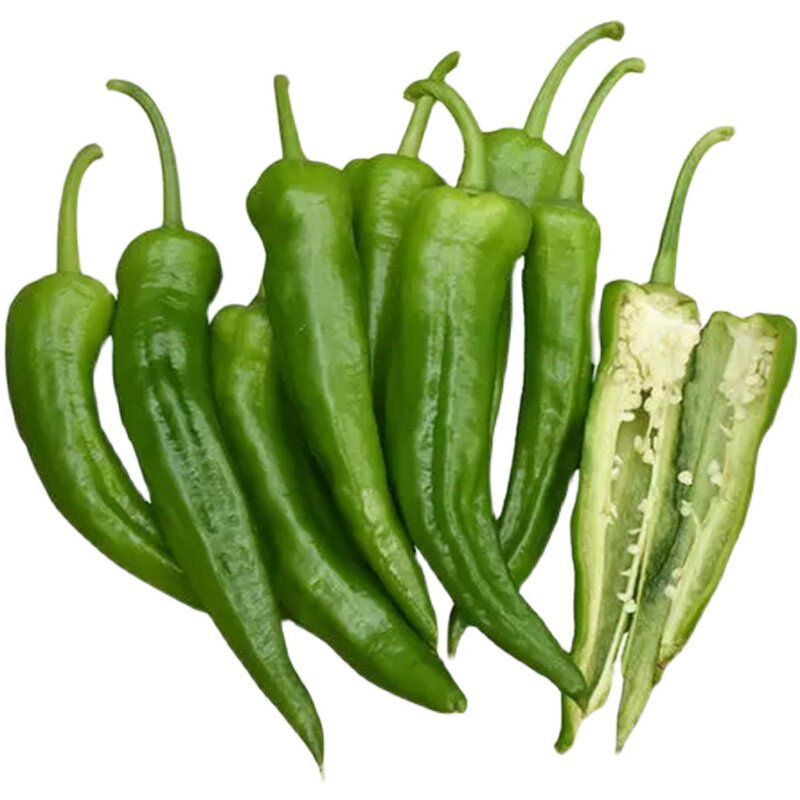 辣妹子辣椒种子尖椒线椒青红东北辣妹特辣皮薄蔬菜种子