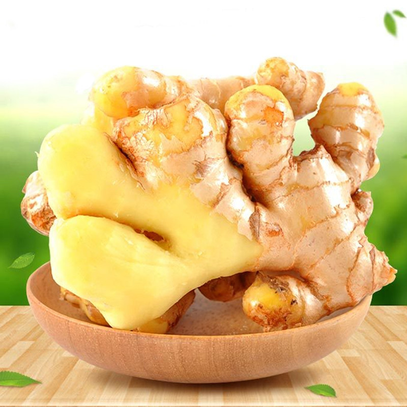 小黄黄姜云南姜香辣味浓香辣老姜月子带箱10斤生姜