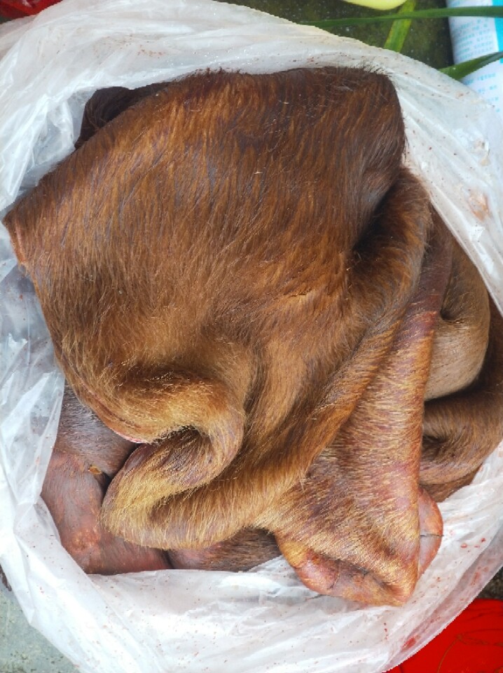 牛皮黄牛贵州农家散养新鲜张生处理带毛优质生牛肉