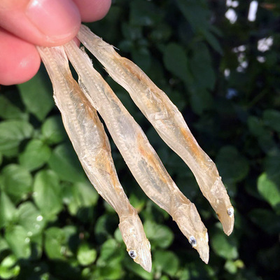 台山特产广海咸鱼大号银鱼海产干货渔家自晒白饭250克鱼干