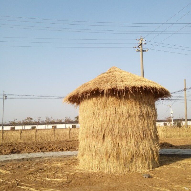 稻草茅草遮阳天然茅草屋屋顶装饰草帘山庄农庄打草绳等其他绳子