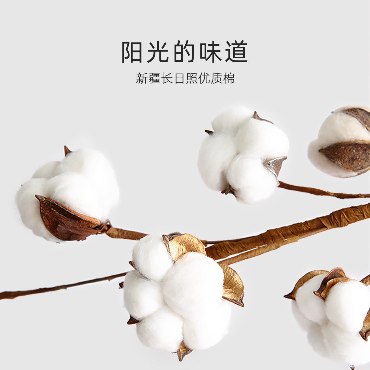 水星家纺感清氧棉棉花加厚60支全棉贡缎新疆抗菌棉花被