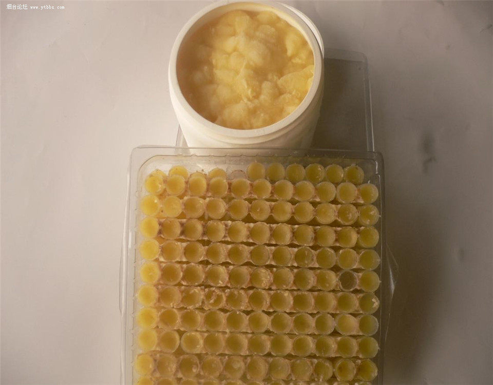 天天特价农家深山纯正天然百花鲜蜂王浆蜂皇浆春浆乳500g包邮