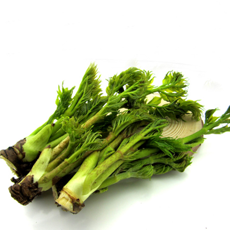 野生长白山刺老东北嫩芽山野菜刺龙芽蘸酱菜500g2其它