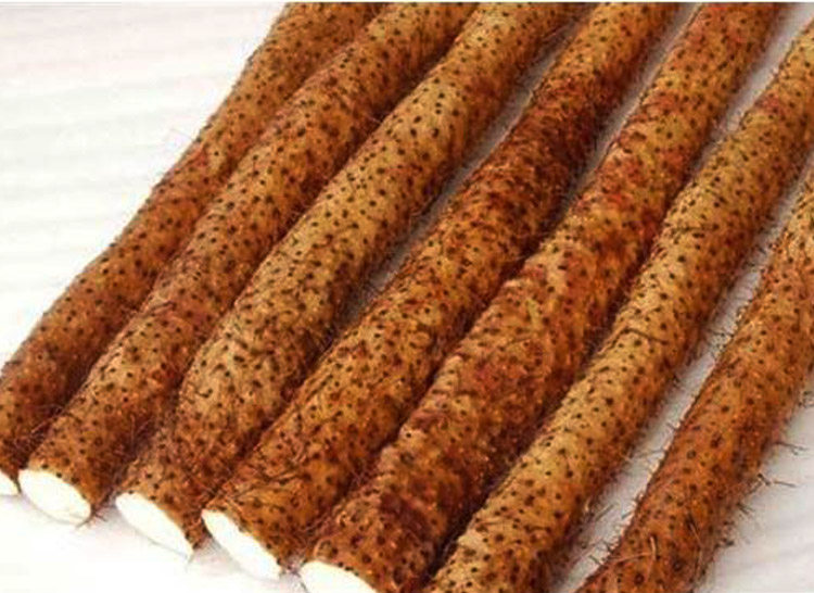 温县山药正宗铁棍礼盒正品新鲜原产地焦作2500g山药及其制品